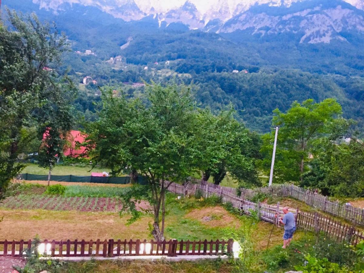 Guest House Rrashkadoli Theth Zewnętrze zdjęcie